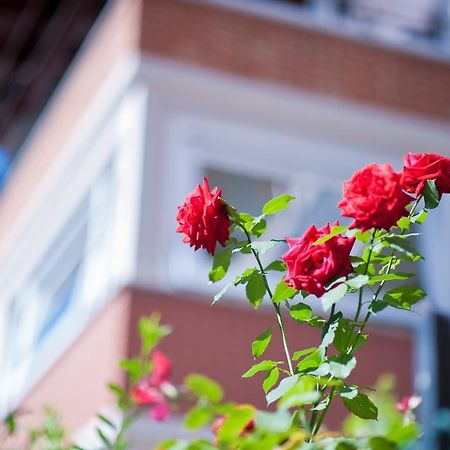 B&B Il Pettirosso Malonno Eksteriør bilde